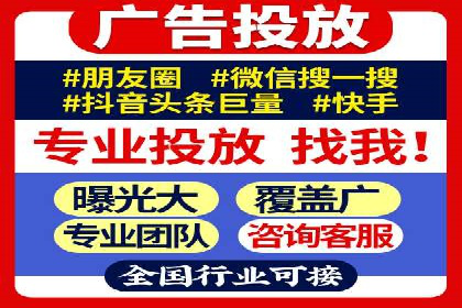 成功SEM竞价托管案例分析报告